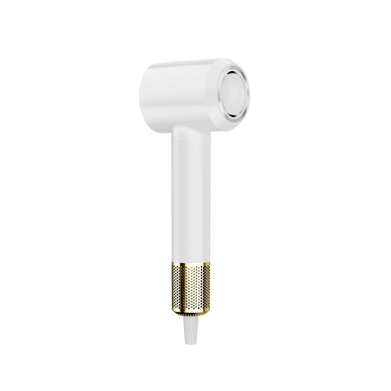 MagFlow™ Ionic Dryer - 2 Speeds, 4 Temps for Salon Shine