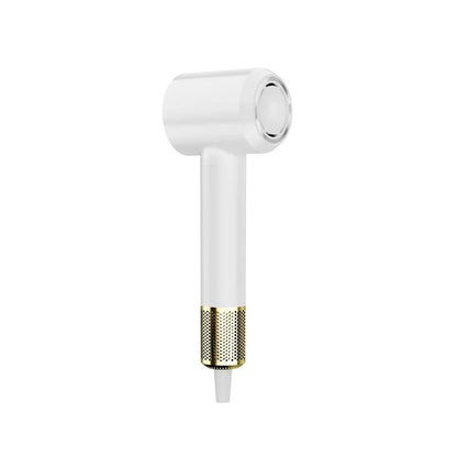 MagFlow™ Ionic Dryer - 2 Speeds, 4 Temps for Salon Shine